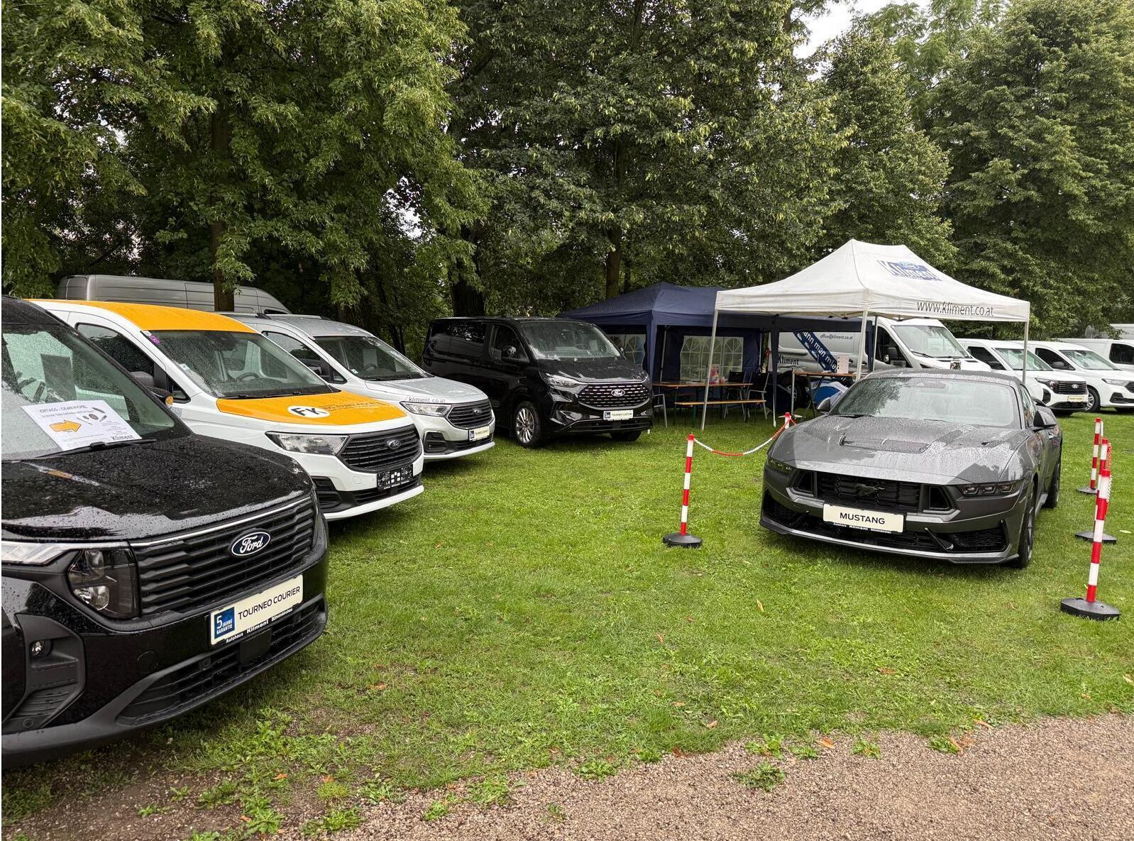Automobilausstellung mit mehreren Fahrzeugen, darunter Ford und Mustang, auf einer grünen Wiese unter Bäumen.